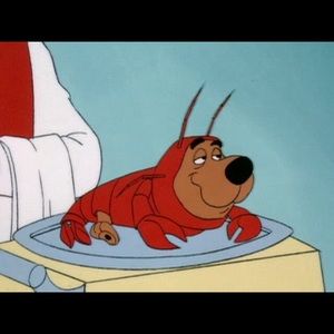 Meet your Posher, Bailey